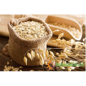 Chọn và bảo quản yến mạch như thế nào? Chọn và bảo quản yến mạch như thế nào?